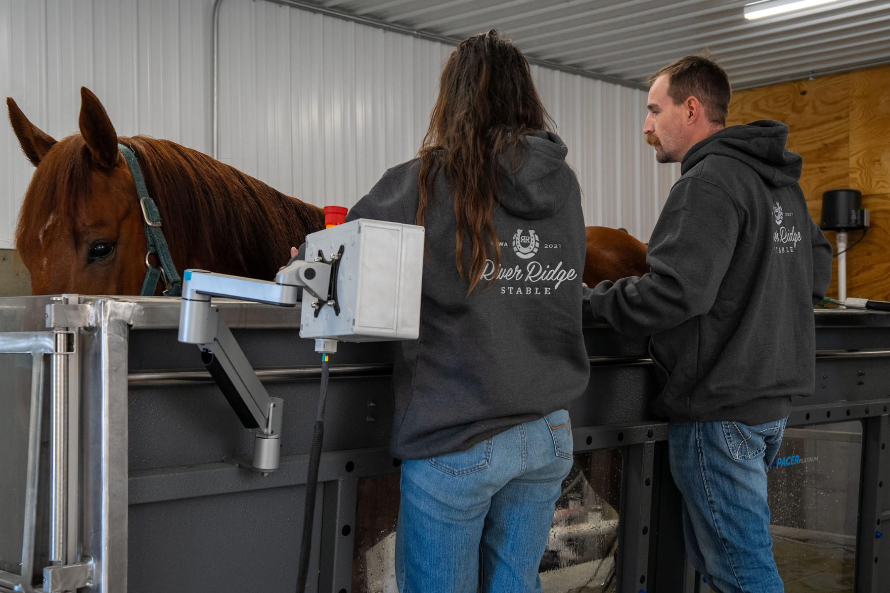 where innovation meets equine care