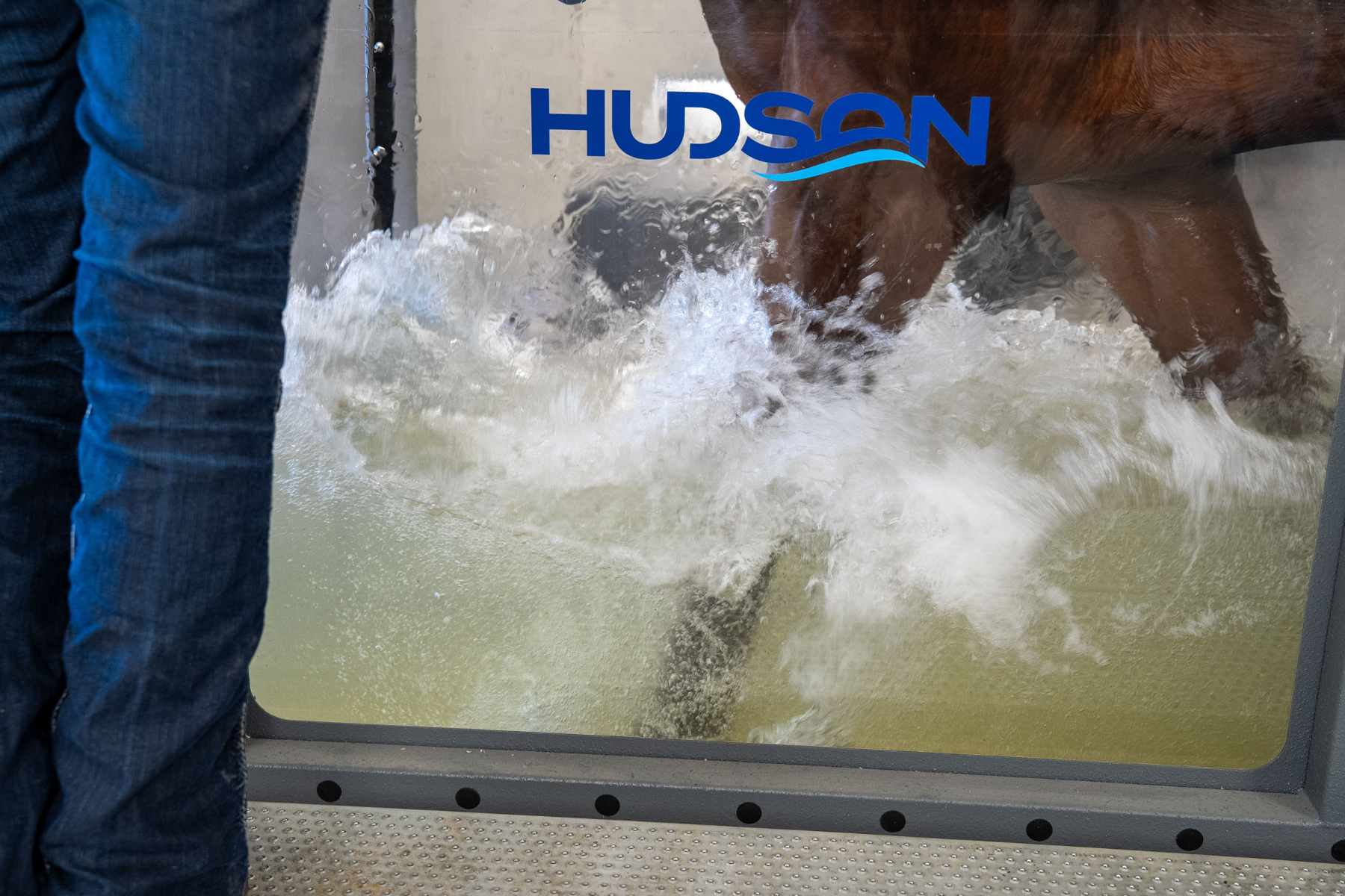 Aquapacer Cold Saltwater System