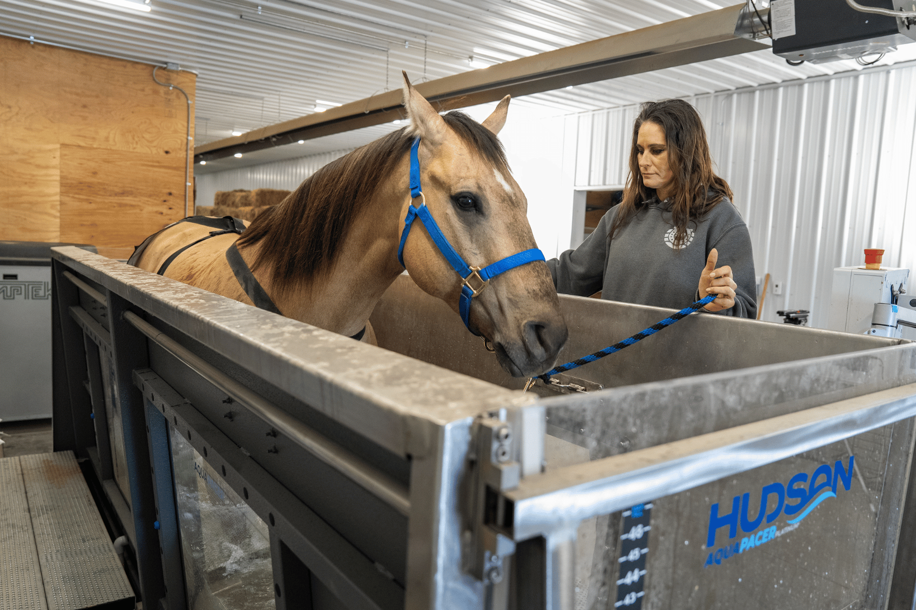 monitor horse during aquapacer training